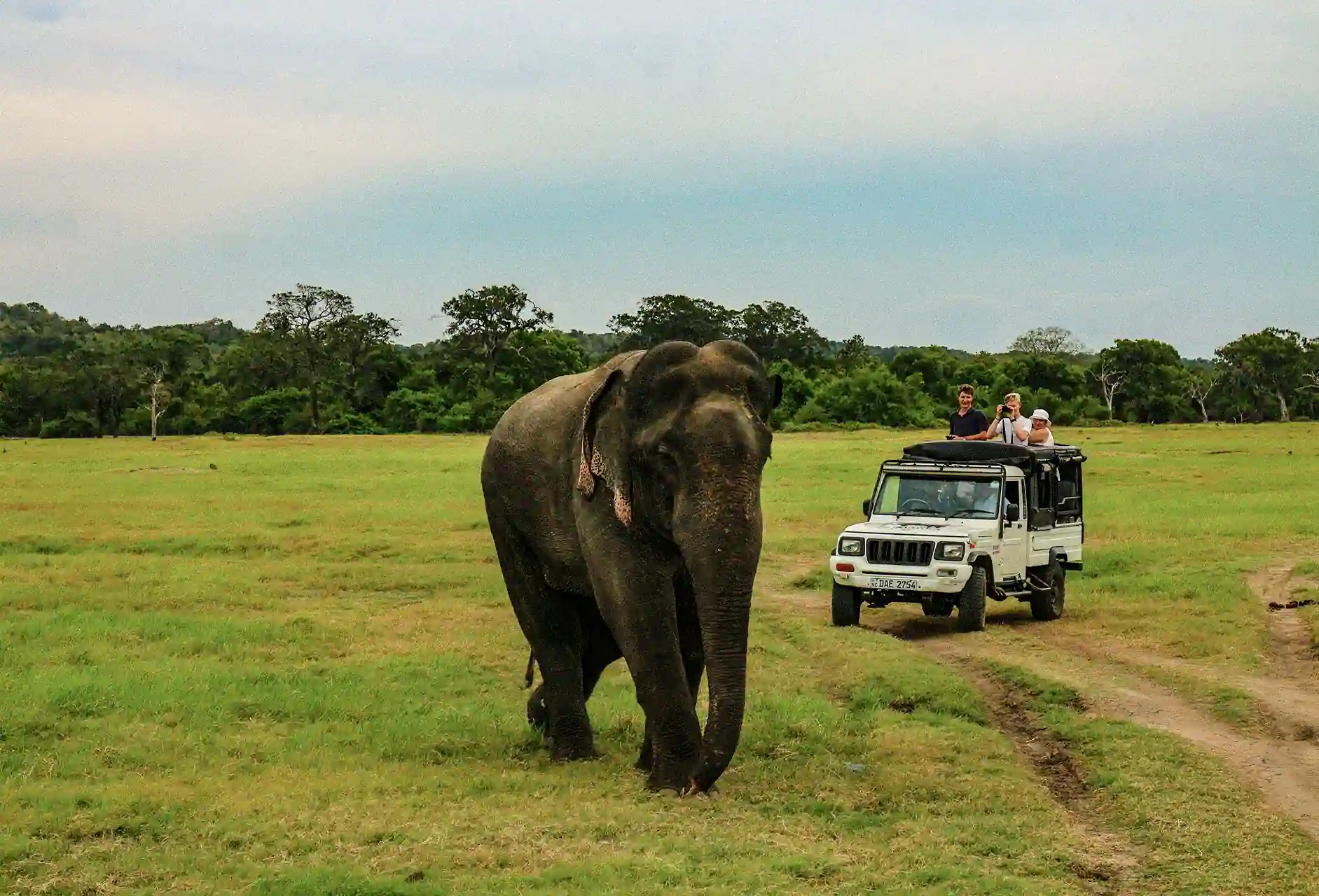 Wilpaththu